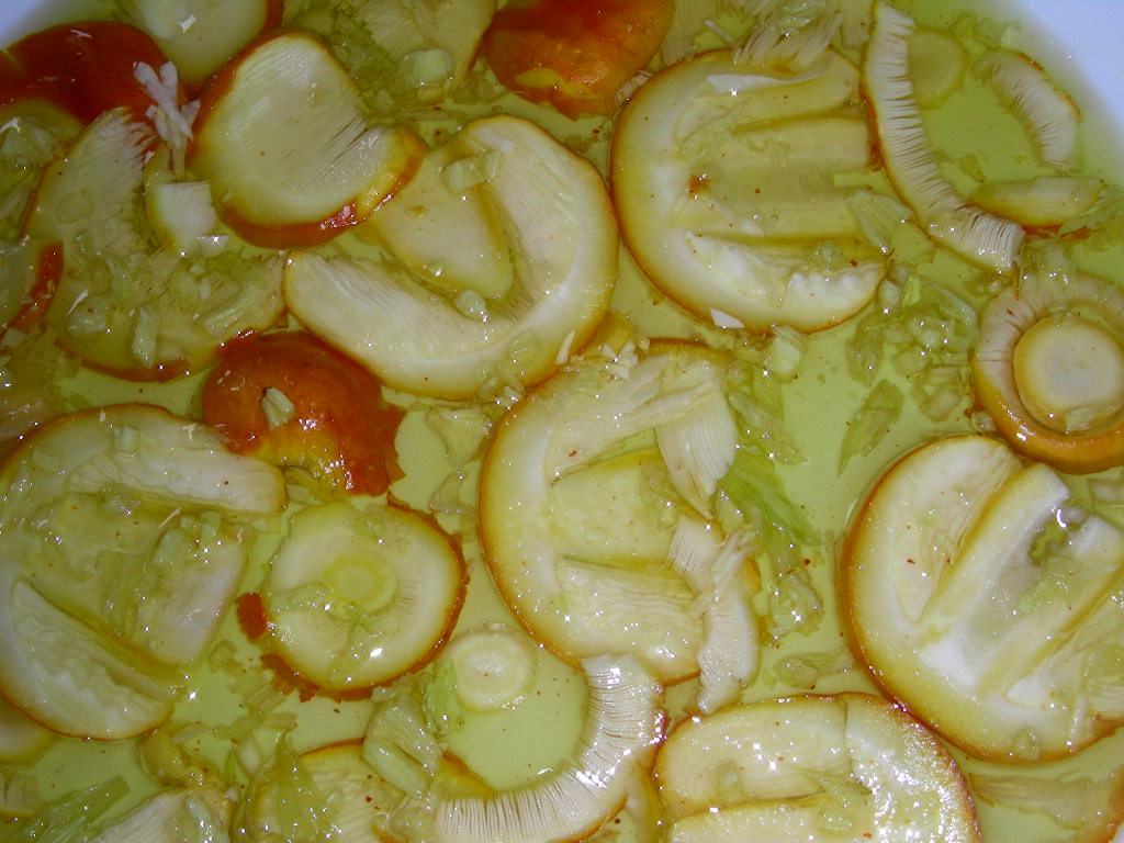 I colori sono belli....